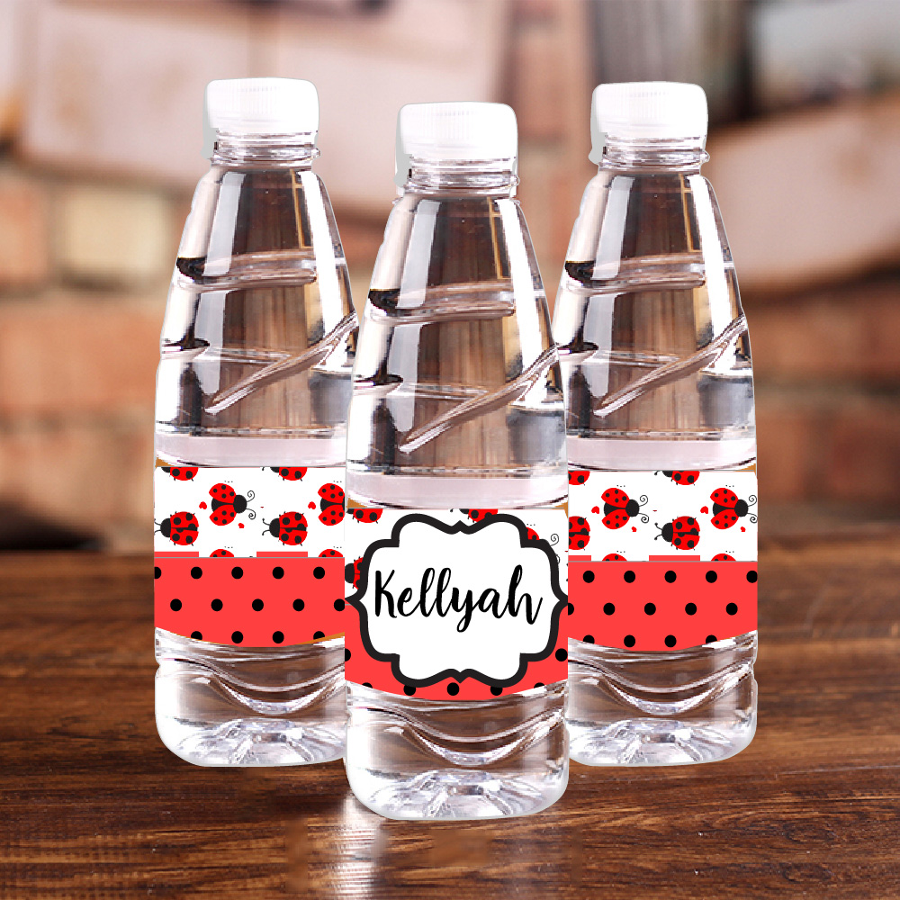 Personalised Ladybug Red Polka - Baby Food Recipes avis et prix